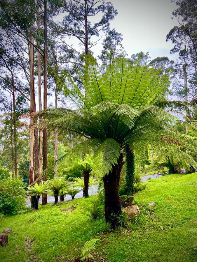 Melbourne Topview Villa In Dandenong Ranges Near Skyhigh Kalorama Exterior foto