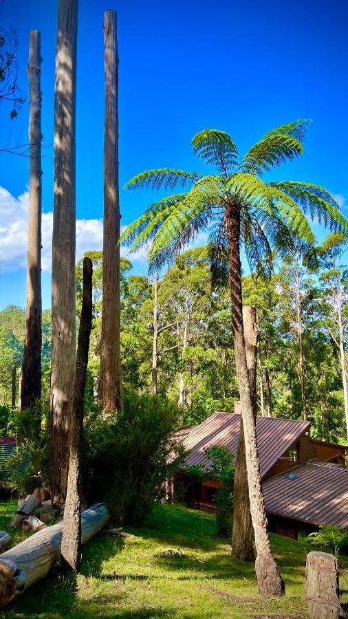 Melbourne Topview Villa In Dandenong Ranges Near Skyhigh Kalorama Exterior foto
