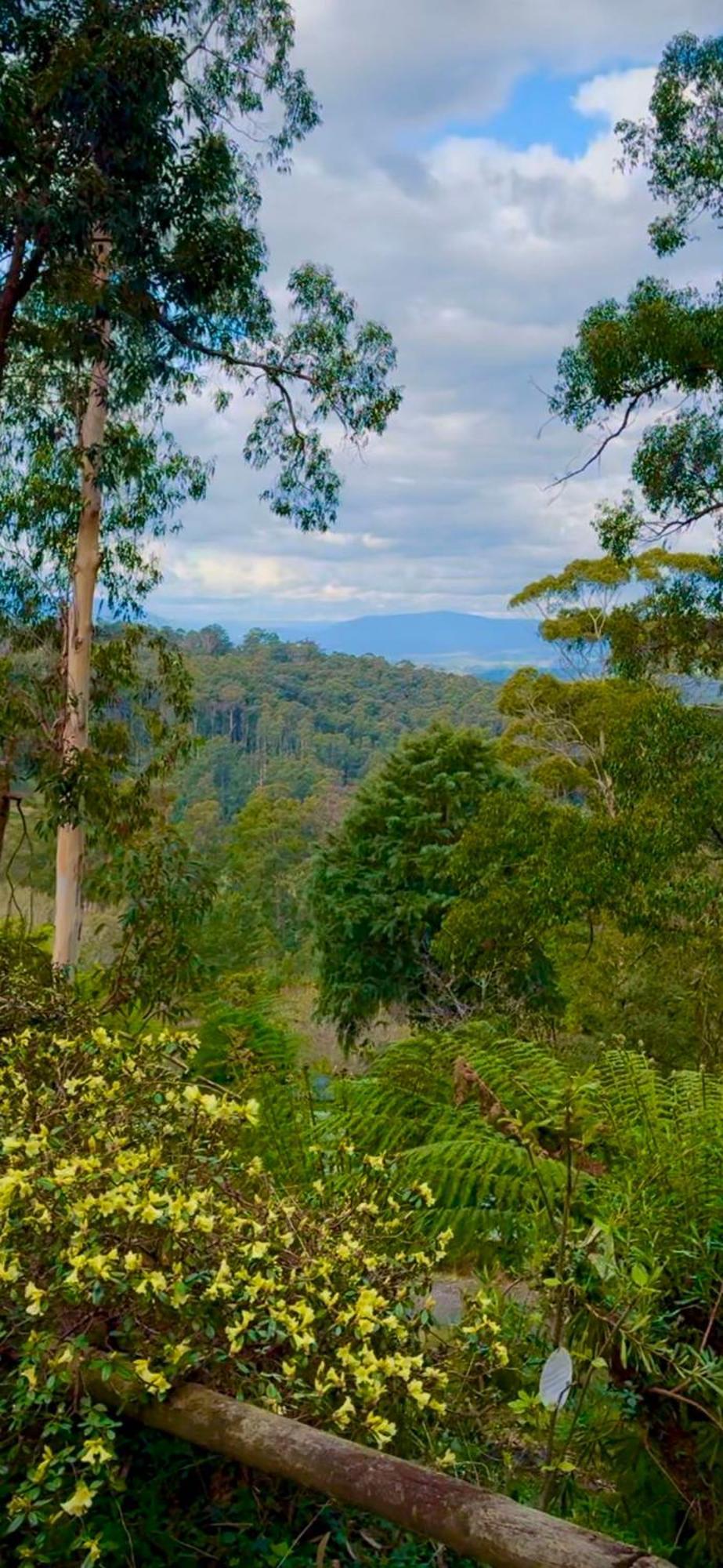 Melbourne Topview Villa In Dandenong Ranges Near Skyhigh Kalorama Exterior foto